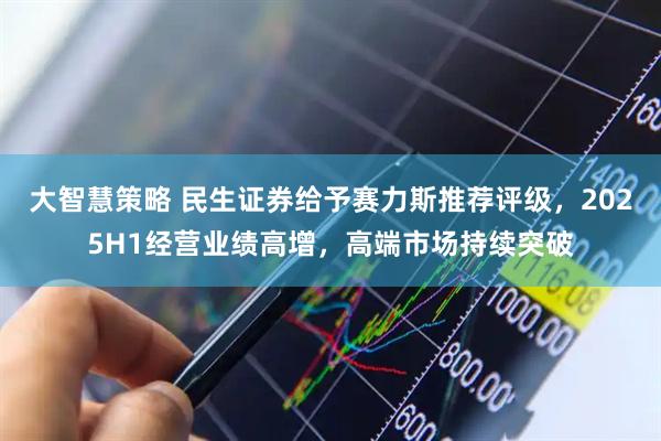 大智慧策略 民生证券给予赛力斯推荐评级，2025H1经营业绩高增，高端市场持续突破