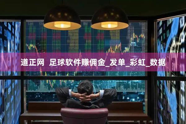 道正网  足球软件赚佣金_发单_彩虹_数据