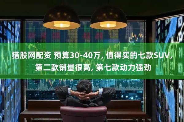 猎股网配资 预算30-40万, 值得买的七款SUV, 第二款销量很高, 第七款动力强劲