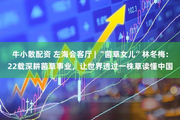 牛小散配资 左海会客厅 | “菌草女儿”林冬梅：22载深耕菌草事业，让世界透过一株草读懂中国