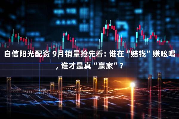 自信阳光配资 9月销量抢先看: 谁在“赔钱”赚吆喝, 谁才是真“赢家”?