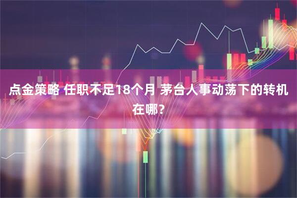 点金策略 任职不足18个月 茅台人事动荡下的转机在哪？