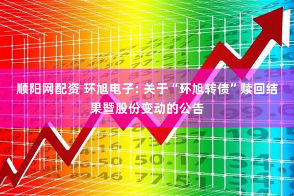 顺阳网配资 环旭电子: 关于“环旭转债”赎回结果暨股份变动的公告